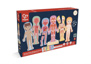 HUMAN BODY MAGNETIC PUZZLE