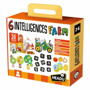 6 INTELLIGENCES FARM