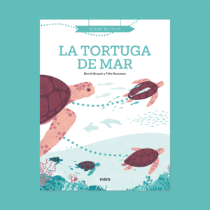 SIGUE EL HILO: LA TORTUGA DE MAR