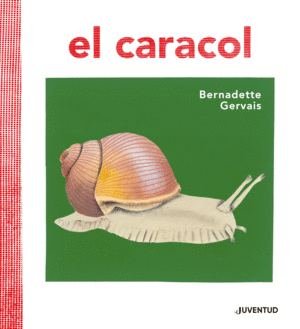 El Caracol Bernadette Gervais Libro En Papel 9788426145673 Libreria 9 3 4 - guía del universo roblox roblox libro en papel